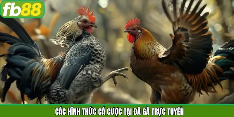 Danh sách các hình thức chọi kê trực tuyến hiện có