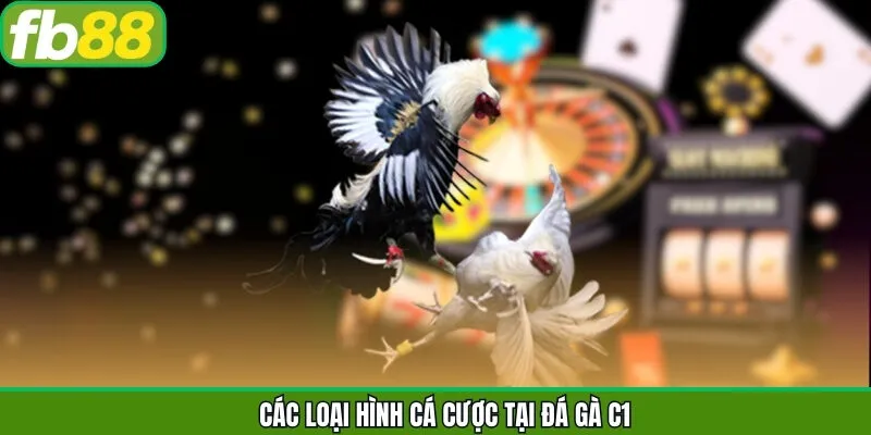 Tập hợp các loại hình đá gà C1 hot nhất
