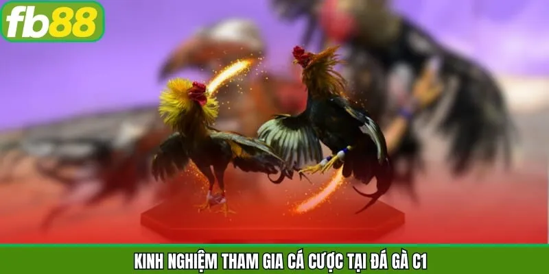 Hé lộ các kinh nghiệm nắm phần thắng trong đá gà C1