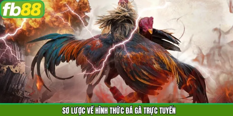 Vài nét về sảnh đá gà online